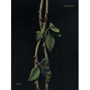 768287.jpg 768287.jpg