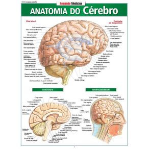 828983.jpg 828983.jpg