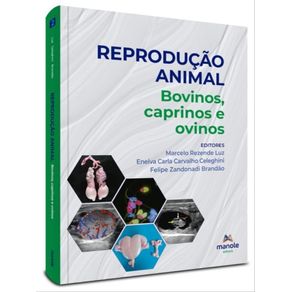 1080093.jpg 1080093.jpg