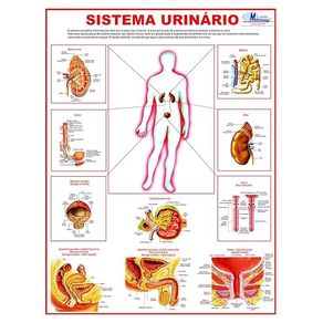 527493.jpg 527493.jpg