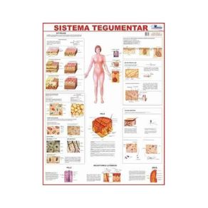 527516.jpg 527516.jpg