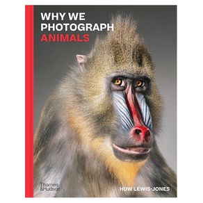 1090533.jpg 1090533.jpg