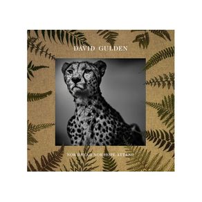 1093018.jpg 1093018.jpg