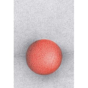 1096556.jpg 1096556.jpg