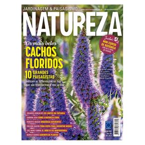 1098223.jpg 1098223.jpg