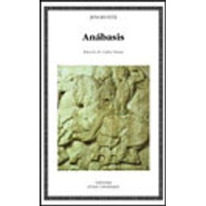 15918_vitrine.jpg 15918_vitrine.jpg