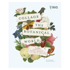 1099852.jpg 1099852.jpg