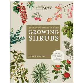 1099864.jpg 1099864.jpg