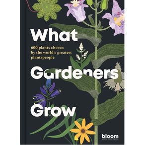 1099869.jpg 1099869.jpg