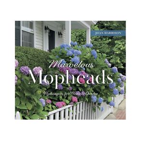 1100598.jpg 1100598.jpg