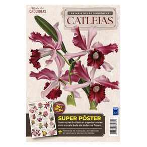 1104138.jpg 1104138.jpg