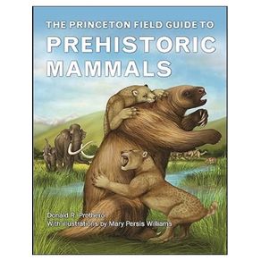 1104400.jpg 1104400.jpg