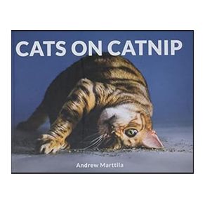 1104419.jpg 1104419.jpg