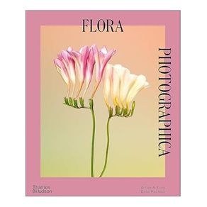 1107421.jpg 1107421.jpg