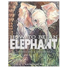 1107751.jpg 1107751.jpg