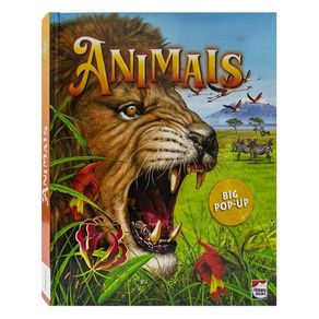 1108221.jpg 1108221.jpg