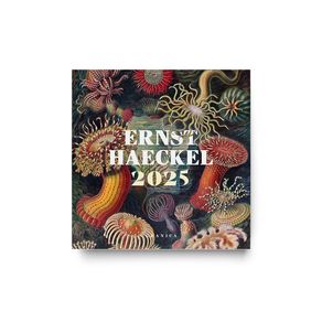 1109422.jpg 1109422.jpg