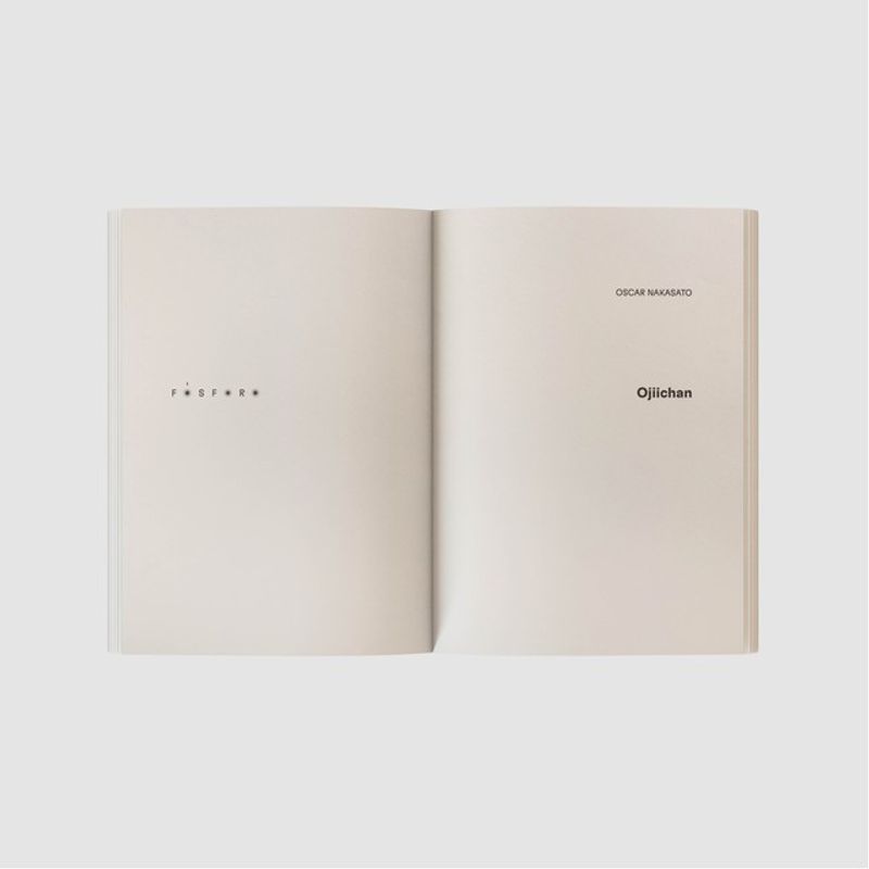 Deutsch-Japanisches Rechtswörterbuch 第2版 dicionario japones-portugues 2 volumes autor ryoji noda - Faz a Boa!