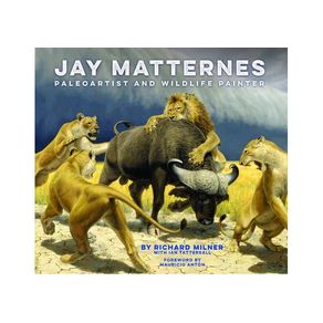 1113322.jpg 1113322.jpg