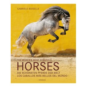 1117274.jpg 1117274.jpg