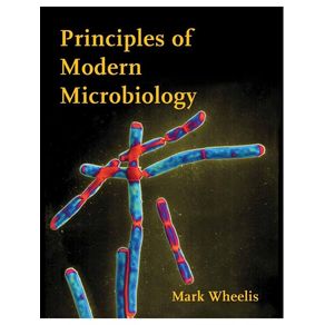 1117979.jpg 1117979.jpg