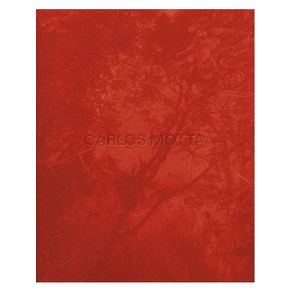 1119010.jpg 1119010.jpg