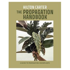 1120171.jpg 1120171.jpg