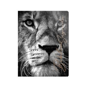 1121850.jpg 1121850.jpg