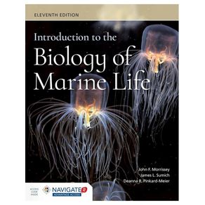 1125707.jpg 1125707.jpg