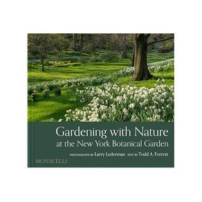 1127497.jpg 1127497.jpg