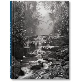 1128786.jpg 1128786.jpg