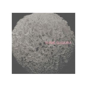 1131005.jpg 1131005.jpg