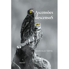 1132569.jpg 1132569.jpg