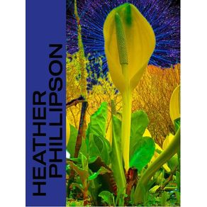 1133089.jpg 1133089.jpg