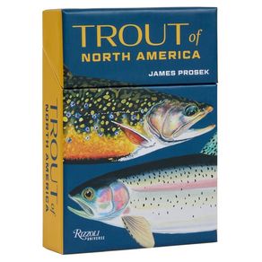 1134928.jpg 1134928.jpg