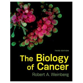 1135637.jpg 1135637.jpg