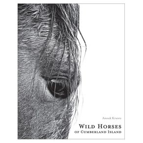 1138964.jpg 1138964.jpg