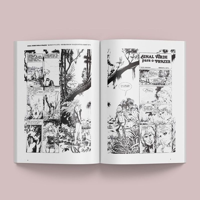 AFRODITE: QUADRINHOS ERÓTICOS 2A. EDIÇÃO - LEMINSKI, PAULO | RUIZ