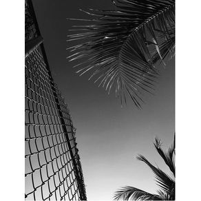 1144791.jpg 1144791.jpg