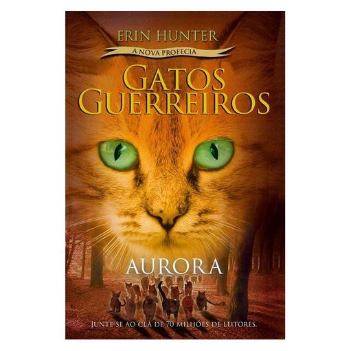 GATOS GUERREIROS (A NOVA PROFECIA) - AURORA - VOL. 3 - HUNTER