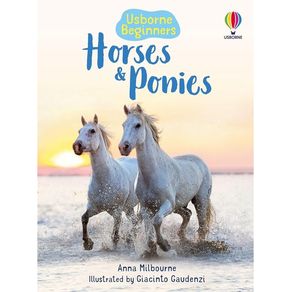 1146177.jpg 1146177.jpg