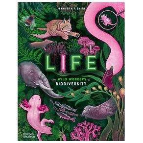 1146680.jpg 1146680.jpg