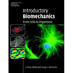 522428_ampliada.jpg 522428_ampliada.jpg