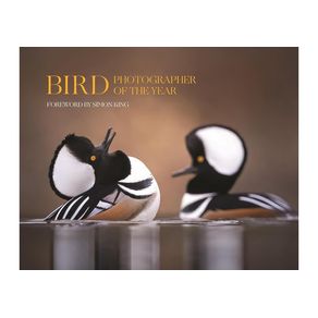 1161226.jpg 1161226.jpg