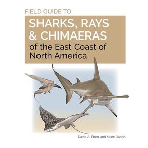 1162583.jpg 1162583.jpg