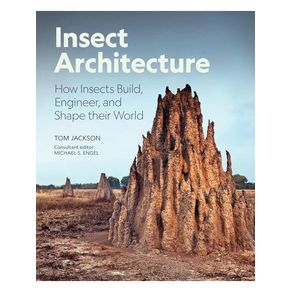 1163161.jpg 1163161.jpg