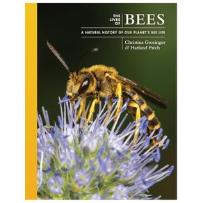 1163596.jpg 1163596.jpg