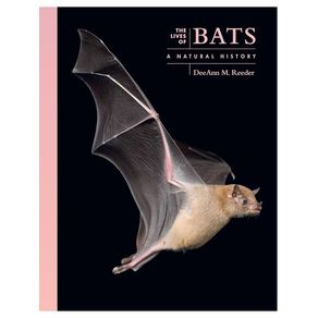 1163595.jpg 1163595.jpg