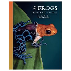 1163598.jpg 1163598.jpg