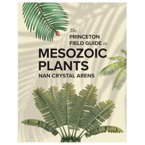 1164243.jpg 1164243.jpg